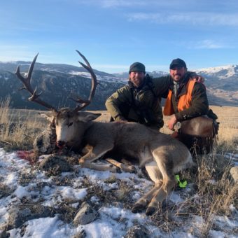 Mule Deer Hunting