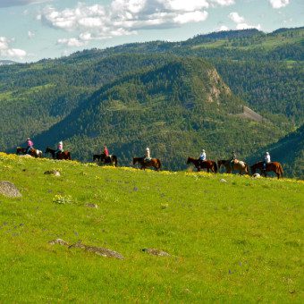 Yellowstone Horseback Riding