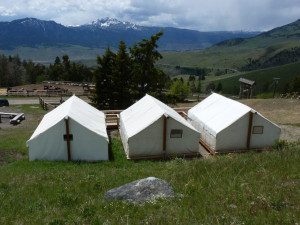 Wall tents for rent near Yellowstone National Park