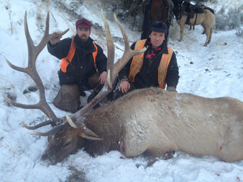 Montana elk hunts with Hell's A-Roarin' Outfitters, hunting
